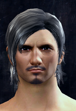 Plik:AlbertsamTDT.png