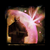 Plik:Tarczaa.png