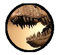 Plik:Zupa2.png