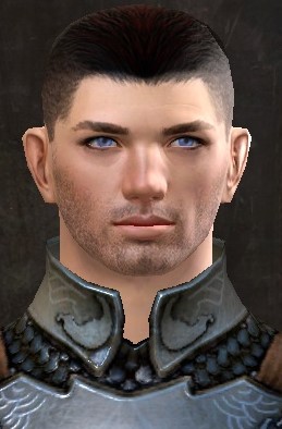 Plik:Arc.jpg