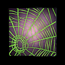 Plik:Entangling Web.png