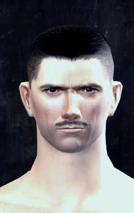 Plik:NickTDT.png