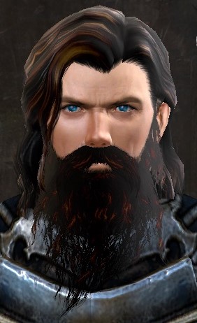 Plik:Dor.jpg