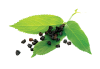 Plik:Bez czarny.png