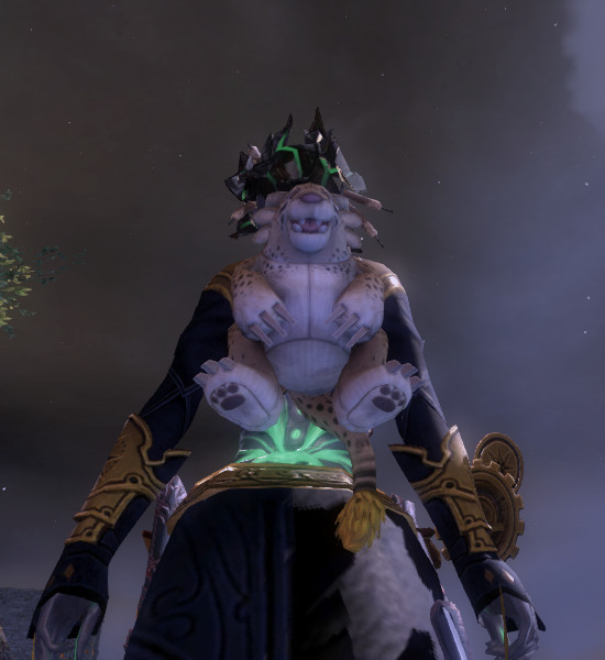 Plik:Backpack.jpg