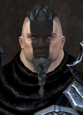 Plik:Torradr Drakedestroyer.jpg