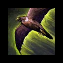 Plik:Quickening Screech.png