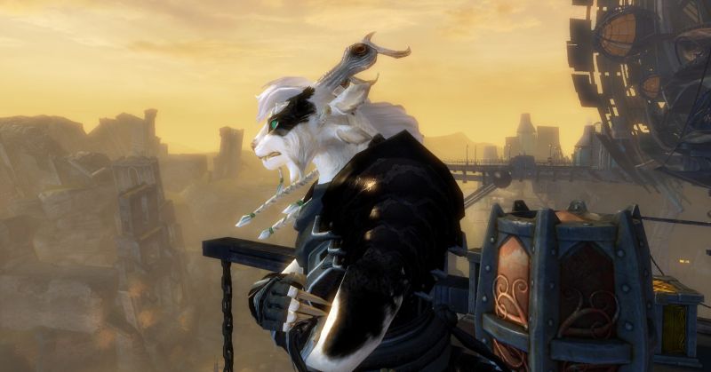 Plik:Lusia1.jpg