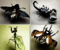 Miniatura wersji z 00:58, 25 mar 2017