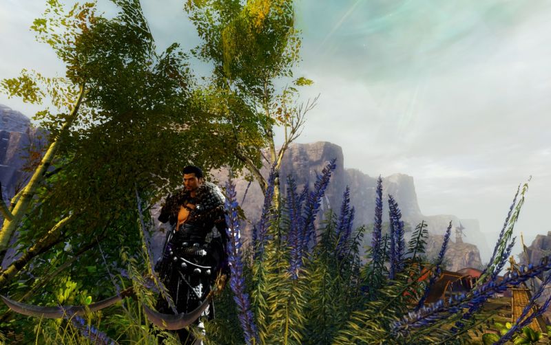 Plik:Gw205.jpg