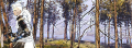 Miniatura wersji z 18:10, 2 lut 2018