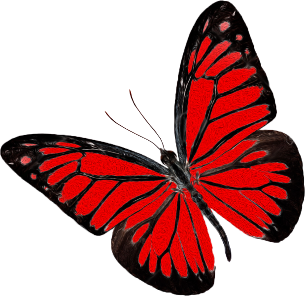 Plik:Aeris - motyl.png