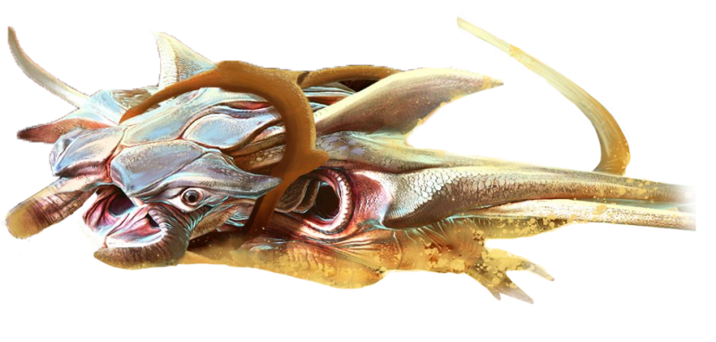 Plik:Skimmer.png