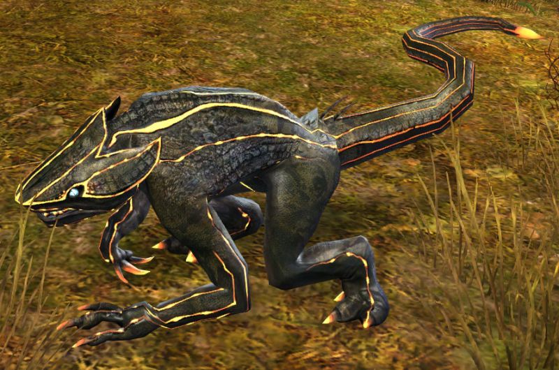 Plik:Jungle Skelk Lurker.jpg