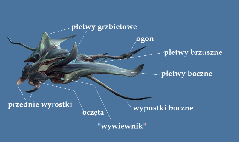 Plik:SkimmerOpis.png