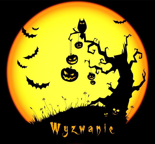 Plik:Banner Wyzwanie.jpg