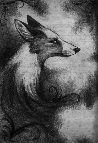 Plik:Fox2.jpg