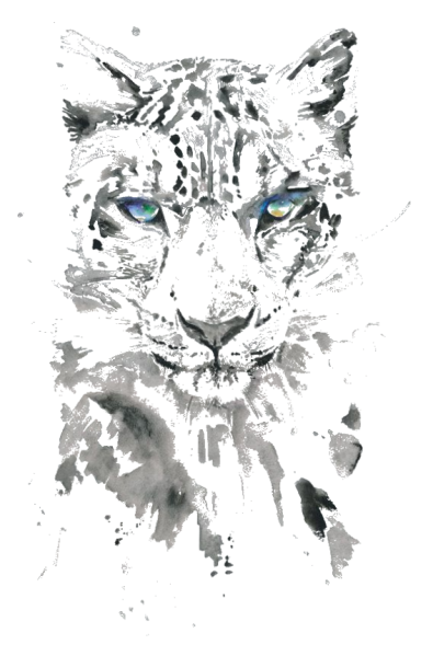 Plik:Wiara-Mor.png
